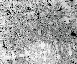 Foundrymag Com Sites Foundrymag com Files Uploads 2015 03 Fig3 A Asi 0116 Foundrymag Com Sites Foundrymag com Files Uploads 2015 03 Fig3 A Asi 0116