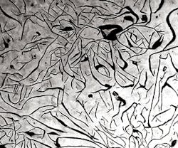 Foundrymag Com Sites Foundrymag com Files Uploads 2015 03 Fig3 B Asi 0116 Foundrymag Com Sites Foundrymag com Files Uploads 2015 03 Fig3 B Asi 0116