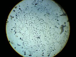 Foundrymag Com Sites Foundrymag com Files Uploads 2016 03 Ask0317 Chunky Graphite 300 Foundrymag Com Sites Foundrymag com Files Uploads 2016 03 Ask0317 Chunky Graphite 300