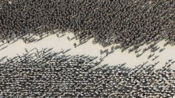 Most Americans live with undisguised disdain or resentment of ldquothe other halfrdquo they believe opposes them Most Americans it follows feel justified in punishing those they pretend would deny them some privilege Most Americans live with undisguised disdain or resentment of ldquothe other halfrdquo they believe opposes them Most Americans it follows feel justified in punishing those they pretend would deny them some privilege