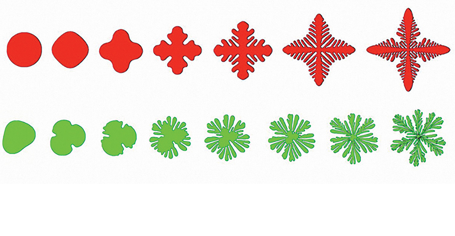 Glicksman illustration