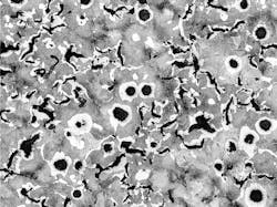 CGI micrograph CGI micrograph