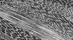 A micrograph image shows cellular structures in a casting of a new copper-manganese alloy, with no indication of microporosity.