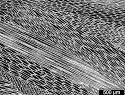 Cast CuMn Alloy micrograph Cast CuMn Alloy micrograph