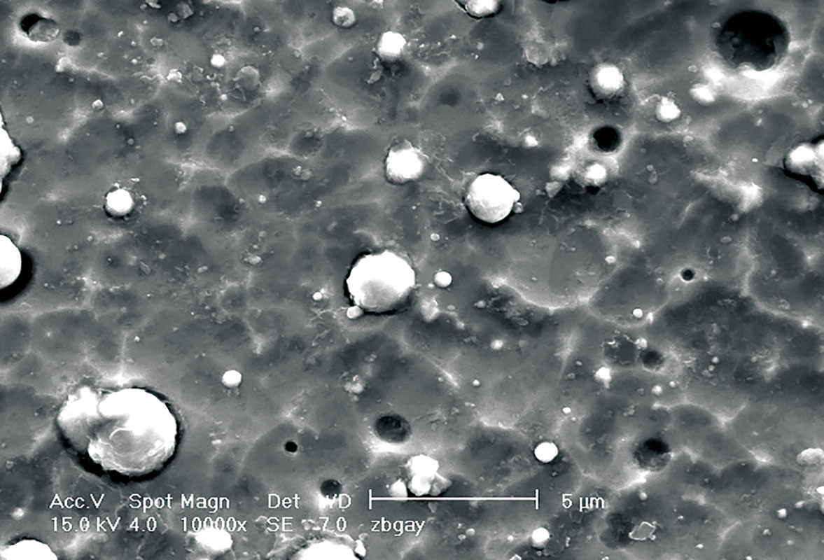 0 0320 Phygen Fig1a