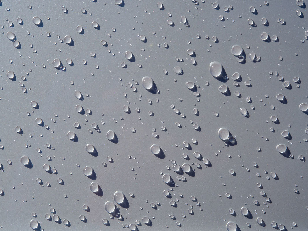 Getty510332036 800 5e5d2c0fd8e1e