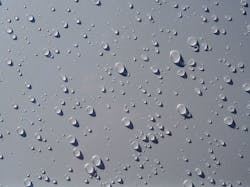 Getty510332036 800 5e5d2c0fd8e1e Getty510332036 800 5e5d2c0fd8e1e