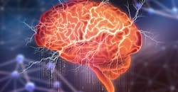 Dreamstime147685878 800 5fa8c69fe6906 Dreamstime147685878 800 5fa8c69fe6906