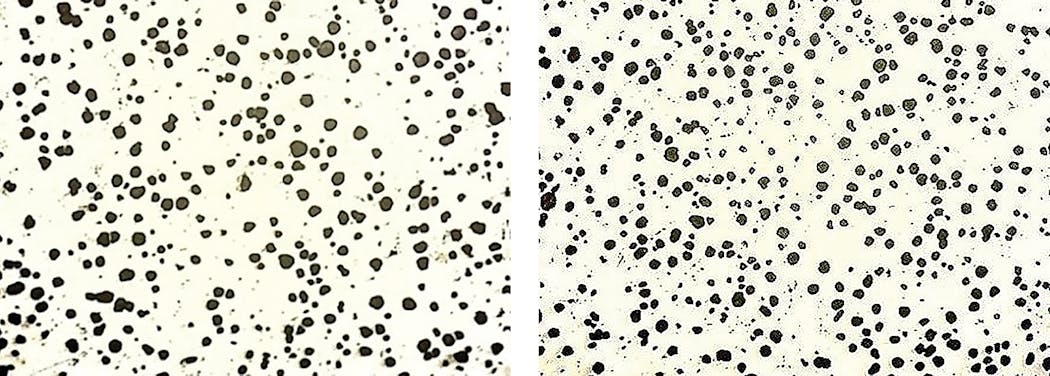 Microstructure scans from ductile iron automotive castings. (Left) Bismuth inoculant containing rare-earth elements: inoculant addition, 0.25%; nodularity, 94%, nodule count, 309 nodules/mm&sup2;. (Right) Bisnoc&trade; inoculant with no rare-earth elements: inoculant addition, 0.25%; nodularity, 98%, nodule count, 367 nodules/mm&sup2;.