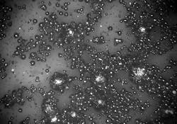 Desktop Metal Uniformity 800 604a78982aac7 Desktop Metal Uniformity 800 604a78982aac7