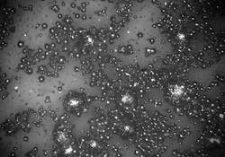 Fully dense, sinterable aluminum 6061 with “better than wrought” strength will be available for binder jetting technology, according to co-developers Desktop Metals Inc. and Uniformity Labs. Fully dense, sinterable aluminum 6061 with “better than wrought” strength will be available for binder jetting technology, according to co-developers Desktop Metals Inc. and Uniformity Labs.