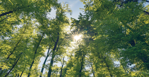 “Sustainability” has three components – ecology, economy, and society. Preserving natural resources is one factor foundries must consider.