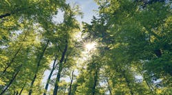 “Sustainability” has three components – ecology, economy, and society. Preserving natural resources is one factor foundries must consider. “Sustainability” has three components – ecology, economy, and society. Preserving natural resources is one factor foundries must consider.