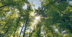 “Sustainability” has three components – ecology, economy, and society. Preserving natural resources is one factor foundries must consider. “Sustainability” has three components – ecology, economy, and society. Preserving natural resources is one factor foundries must consider.