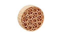 001024askfigure5 001024askfigure5