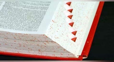 6750c107f95ee7269c636fed 67473580c36bc12c396ac4f0dreamstime47517promo