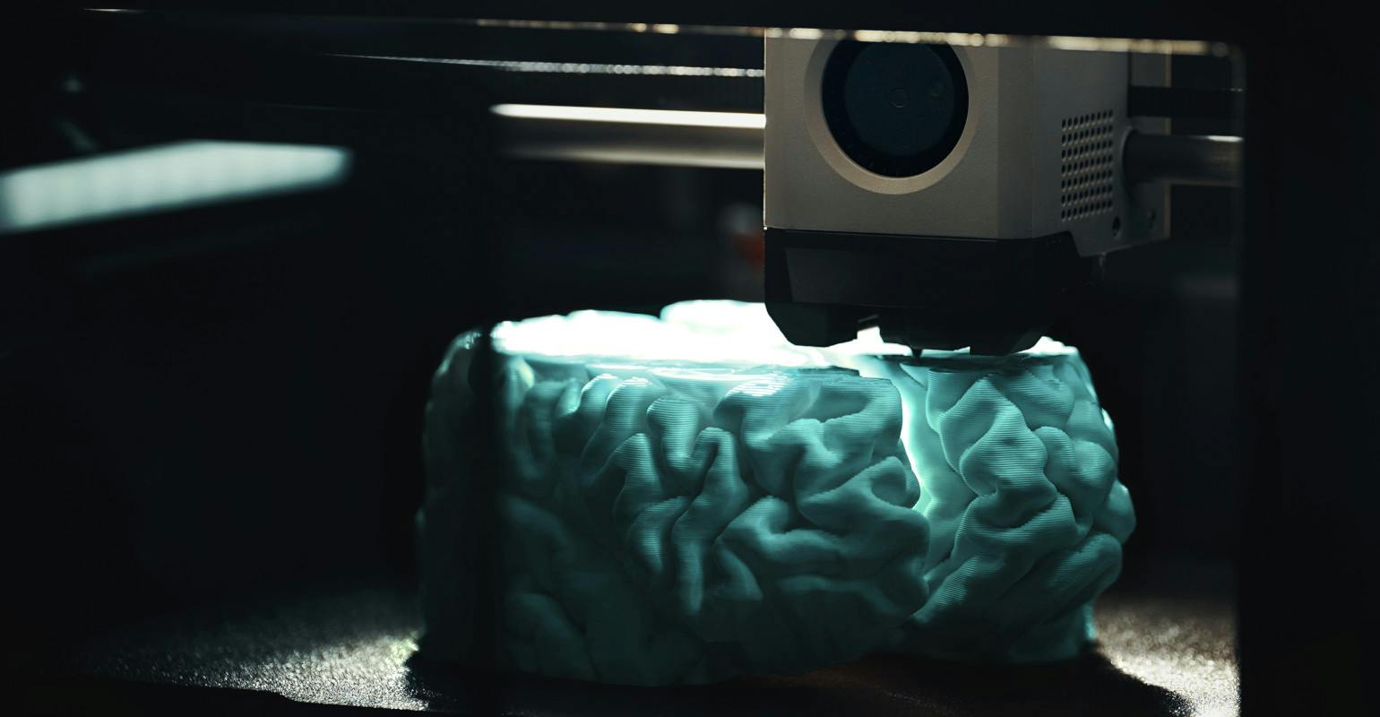 3D printing of a human brain model