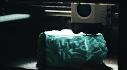 3D printing of a human brain model