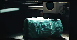 3D printing of a human brain model